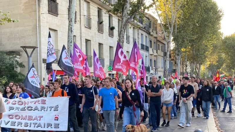 A thousand people in the streets of Montpellier against Emmanuel Macron’s choices