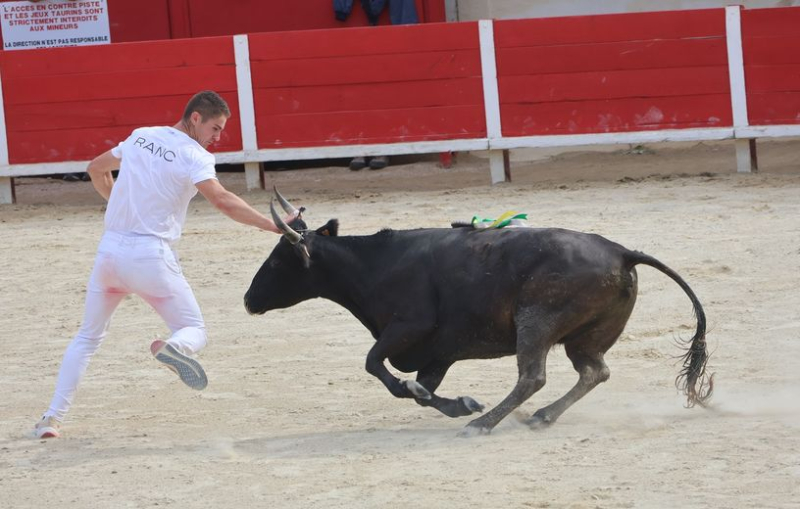 Le Grau-du-Roi: Gold at Galante, Silver at Macarena - Sola, Taïeb, Ranc, the white trio