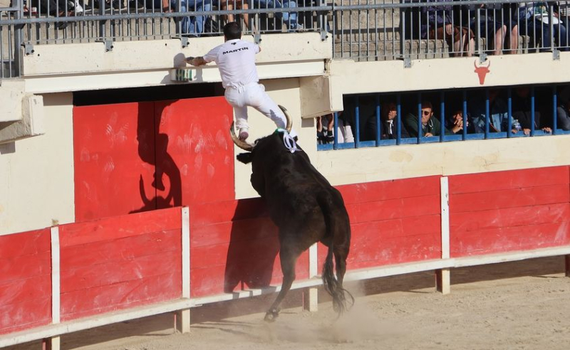 Le Grau-du-Roi: Between bravery and spectacle, the Cuillé keep the suspense going