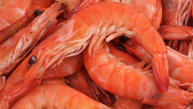 Consumer reminder: be careful with these shrimps or prawns, they could be contaminated by a "flesh-eating" bacteria