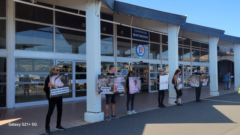 Local representatives of the L214 association demonstrated in front of the Leclerc Montimaran store in Béziers