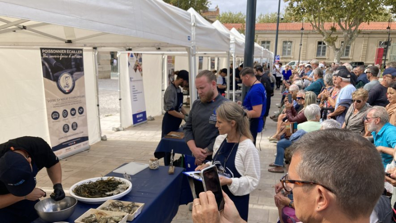 Fierce competition in Sète between the eight candidates for the regional oyster shelling championship