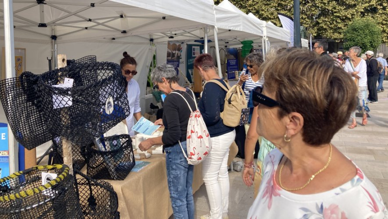 A Sète, une fête de l'huître sous toutes ses formes