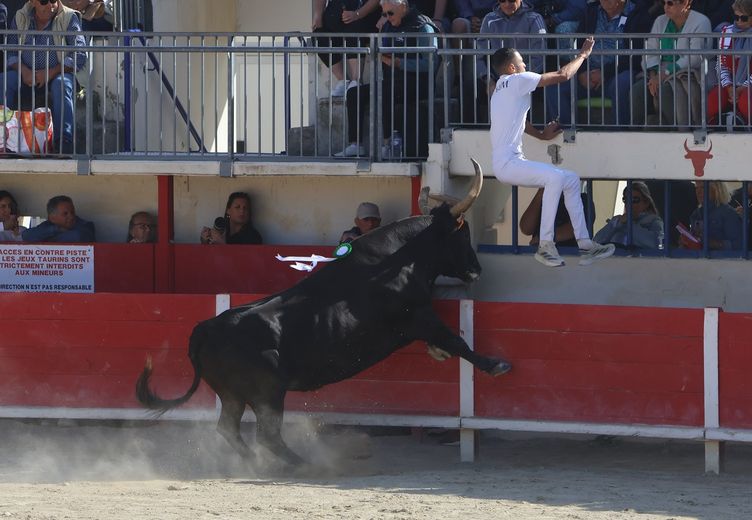 Le Grau-du-Roi: Between bravery and spectacle, the Cuillé keep the suspense going