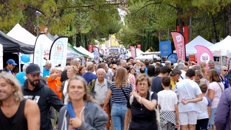 "Je commence après-demain !" Ils sont venus chercher leur bonheur à l’Antigone des associations, à Montpellier