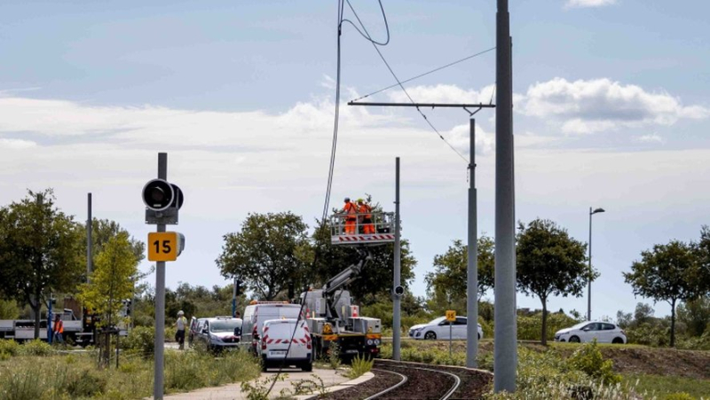 "No date yet for re-entry into service": what we know about the interruption of traffic on tramway line 2 to Jacou