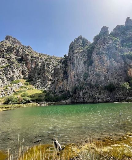 Hiker found dead and man missing in Mallorca after torrential rains, searches still ongoing