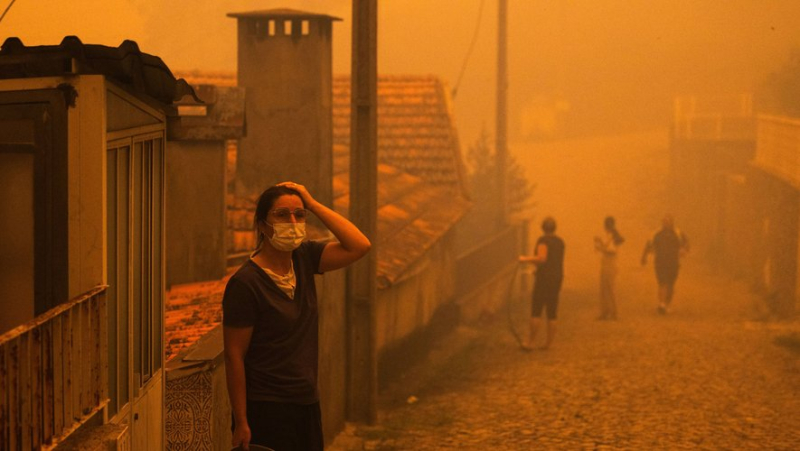 VIDÉO. Incendies au Portugal : sept morts, dont trois pompiers, le pays en "situation d'alerte" et risque "maximal"