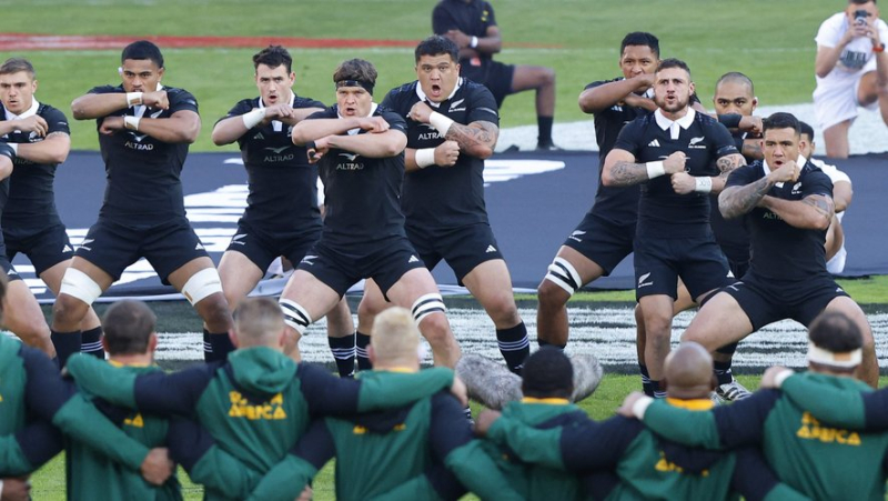 VIDEO. Haka interrupted due to "human error": All Blacks accept South Africans&#39; apologies