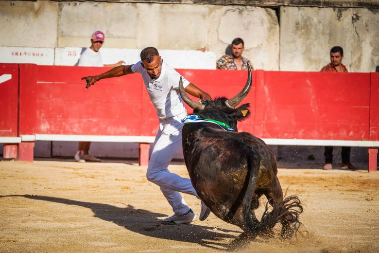 Feria, crazy exhibition, jazz festival, politics, justice... the ten dates to remember for this new school year in Nîmes