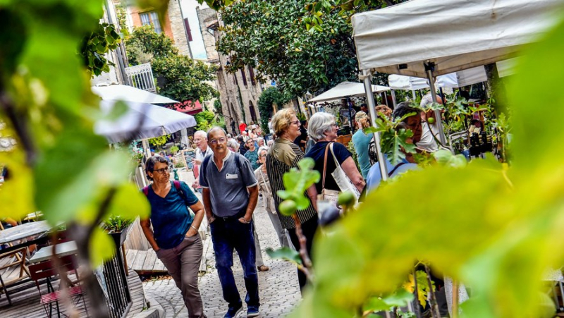 Fig days in Vézénobres: a Sunday, September 22, marked by uncertainty due to the weather