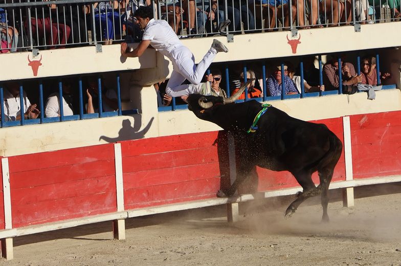 Le Grau du Roi: The Sea Trophy for Bohémien (Rouquette) and Joachim Cadenas