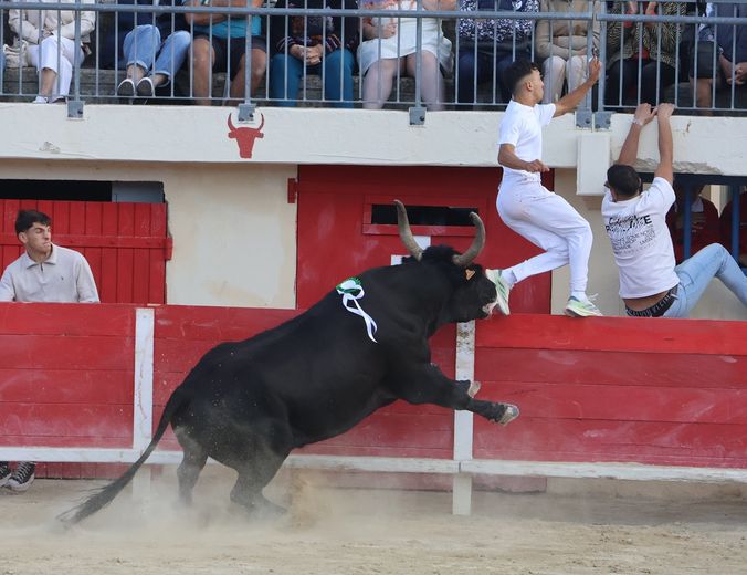 Le Grau-du-Roi: Between bravery and spectacle, the Cuillé keep the suspense going