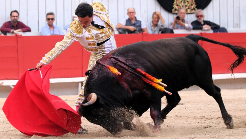 Feria d’Arles : une encastée et exigeante corrida de Valverde clôture en beauté la temporada