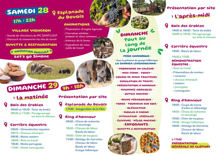 Going out in Montpellier: Rural Festival, Animal Heart, Heidelberg… ideas for this Saturday, September 28