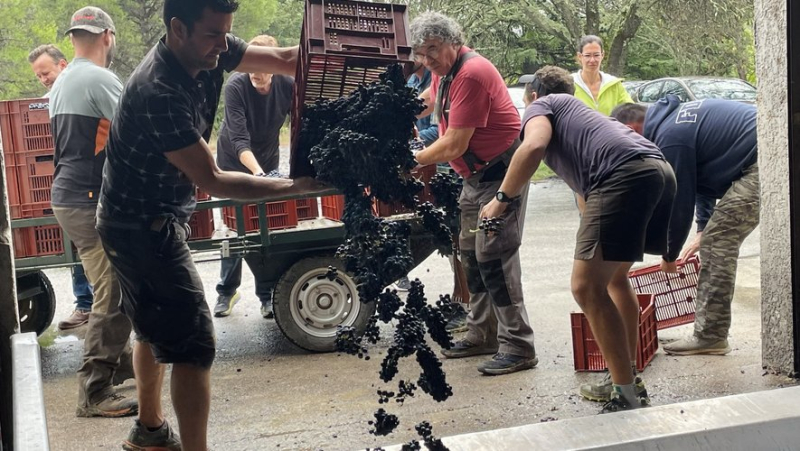 In Saint-Nazaire-des-Gardies, the Persévérance vintage as a standard of sharing