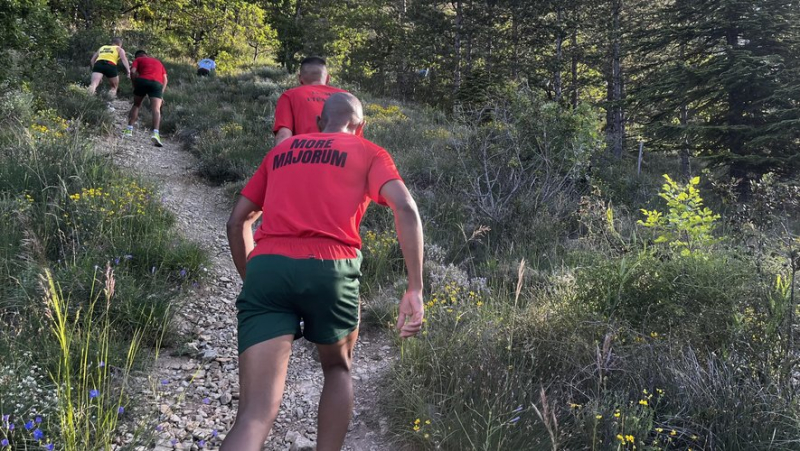 "An unwelcome military excursion", the trail organized by the Army on the Larzac unleashes the concern of a collective of farmers.