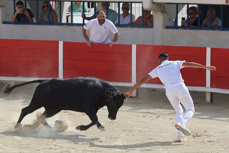 Le Grau-du-Roi: Gold at Galante, Silver at Macarena - Sola, Taïeb, Ranc, the white trio