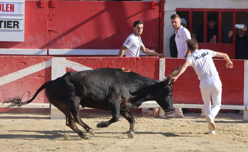 Le Grau-du-Roi : Corail (Rouquette) et Caillet (Cavallini) prennent le large.