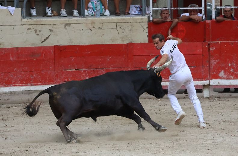 Sommières :Le 4e Trophée Manu-Lucas en toute logique pour Lichou et F. Martin