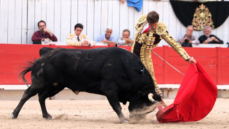 Feria d’Arles : une encastée et exigeante corrida de Valverde clôture en beauté la temporada