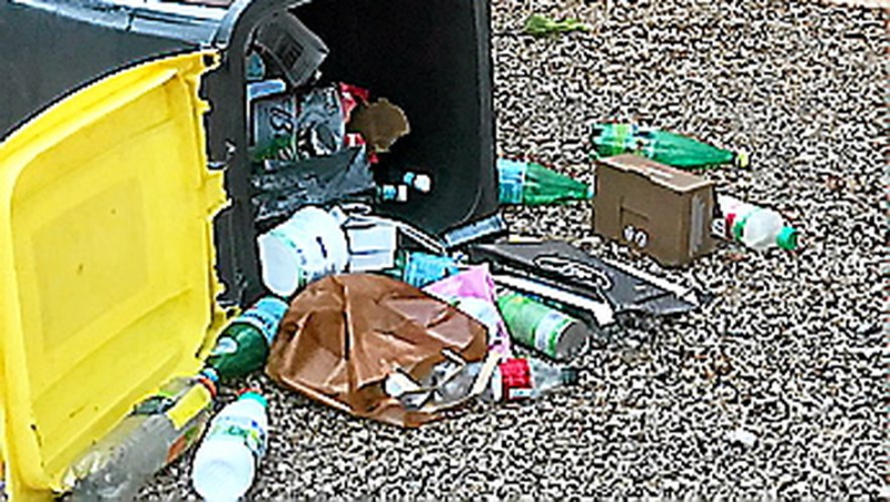 Faced with wild boars, residents of this Gard commune are called upon to "lock up" their trash cans