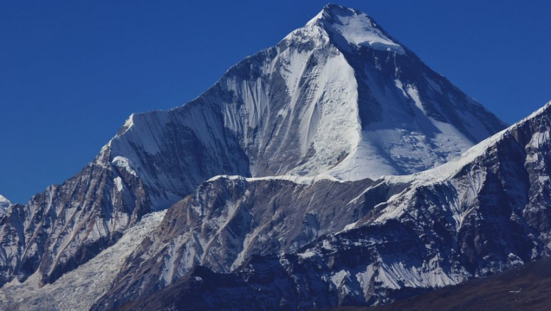 "Five bodies found by helicopter rescue team": Five Russian climbers found dead on Dhaulagiri