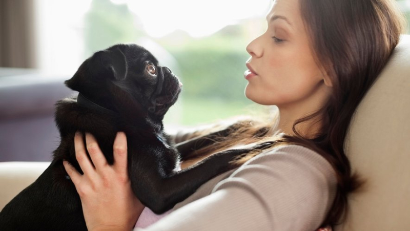 Why you should speak slowly to your dog to make yourself understood ?