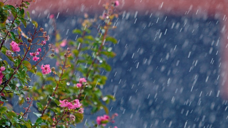 Alerte météo : 9 départements placés en vigilance orange pour pluie-inondation, le Gard et la Lozère toujours concernés