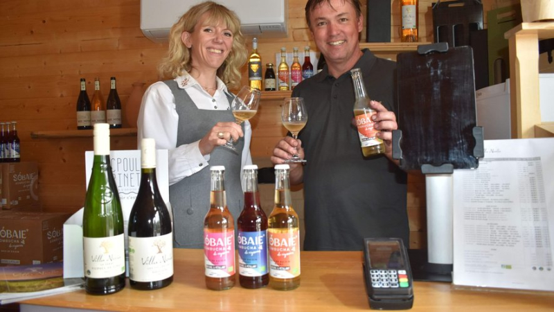 "Sobaie", a winemaker&#39;s kombucha produced at the Villa Noria estate, in Montagnac, near Béziers