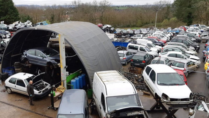 Budget 2025: Government plans to remove car conversion bonus for new car buyers