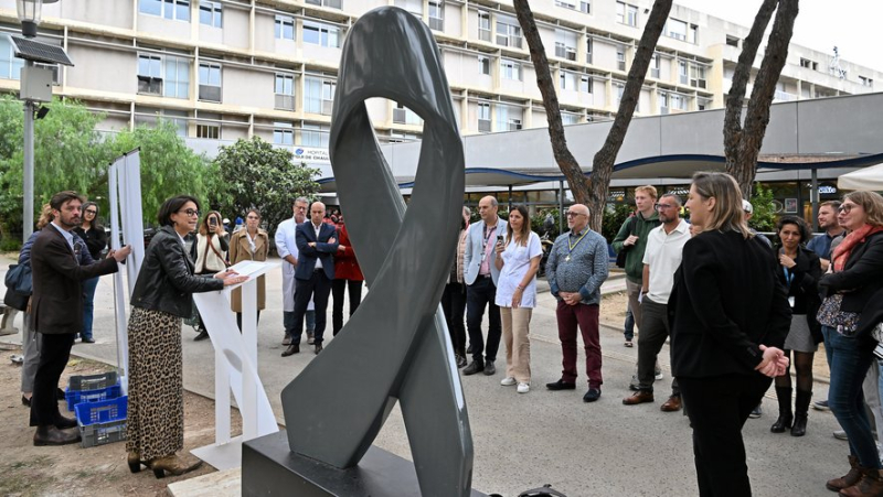 A giant grey ribbon to raise awareness of brain cancer: a first in France at the Gui-de-Chauliac University Hospital