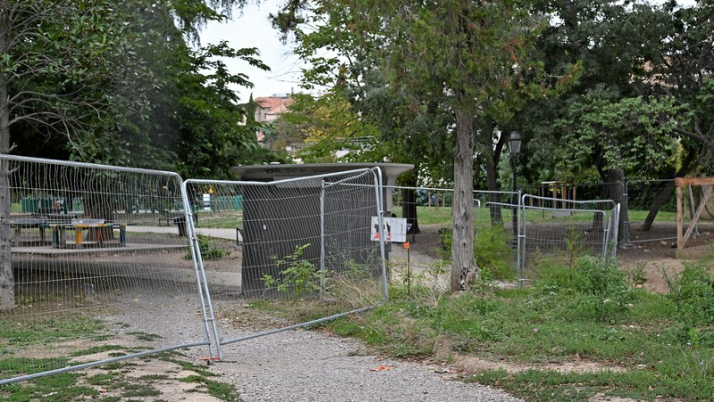 Noise, incivility, dealers, syringes, fights... has Clemenceau Park become unfrequentable ?