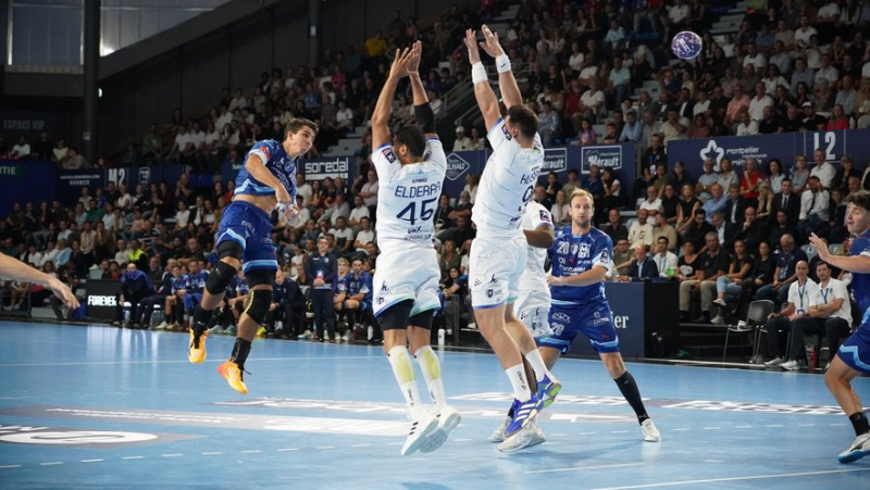 Handball: Montpellier at full strength to face Aix, after the disappointment suffered in Nantes