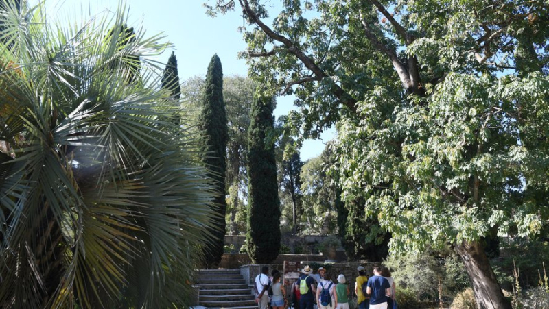 Sortir à Montpellier : jardins méditerranéens, Thibault Cauvin et – M-… des idées pour ce lundi 7 octobre