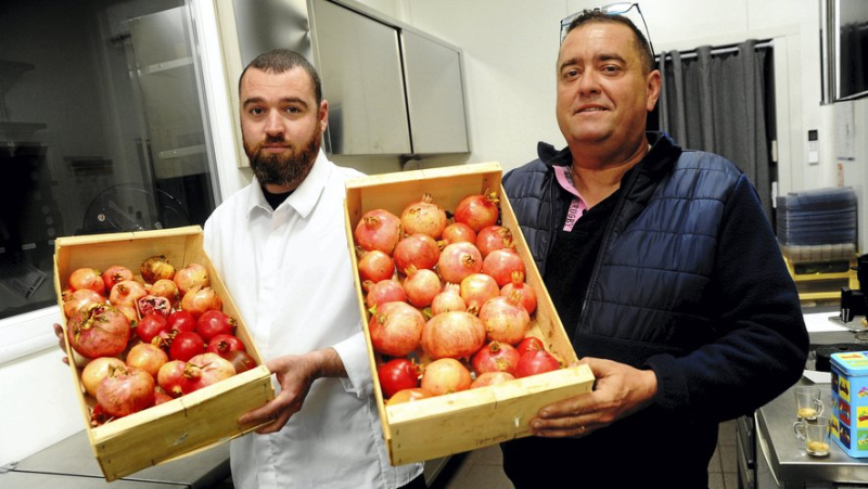 When pomegranate brings new perspectives to local agriculture