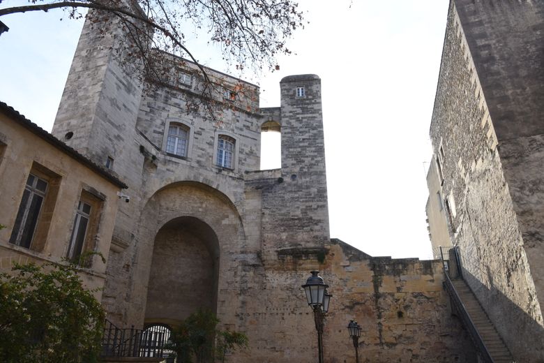 Sortir à Montpellier : Colette Richarme, récifs coralliens, Lee Miller… des idées pour ce mardi 8 octobre