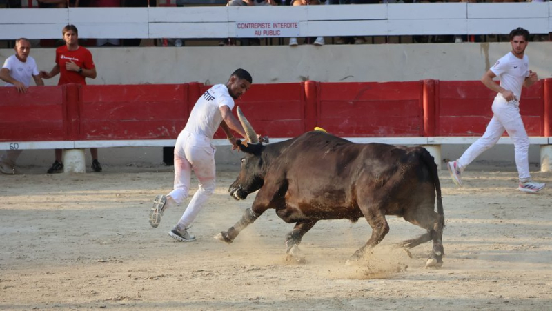 Zakaria Katif will be in Nîmes on Sunday, crowned winner of the Trophée des As for the third consecutive time.