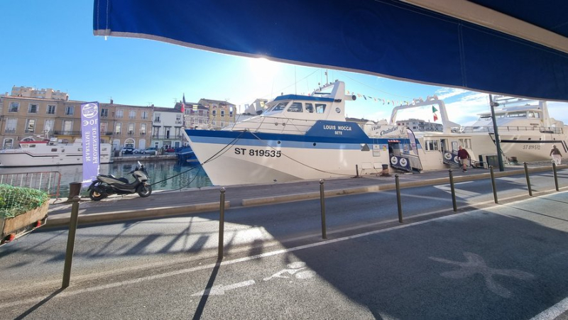 "We really are better off here, it&#39;s more lively", the Louis Nocca trawler-museum has changed quays in Sète