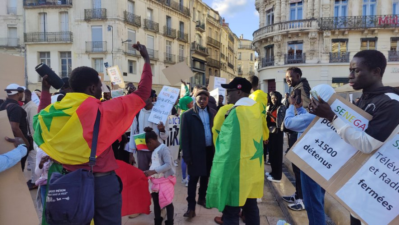 Nearly 200 people demonstrate in Montpellier to denounce the postponement of elections in Senegal