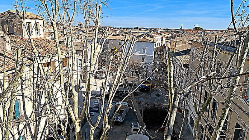In Lunel, the twenty-three plane trees on Cours Péri and around the church pruned