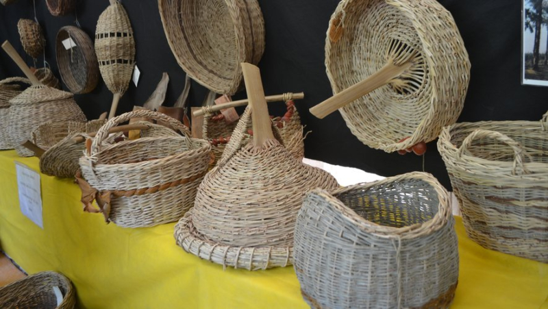 In brief in Lozère: basketry in Florac, festivities at the Gévaudan museum in Mende, hound competition in Massegros