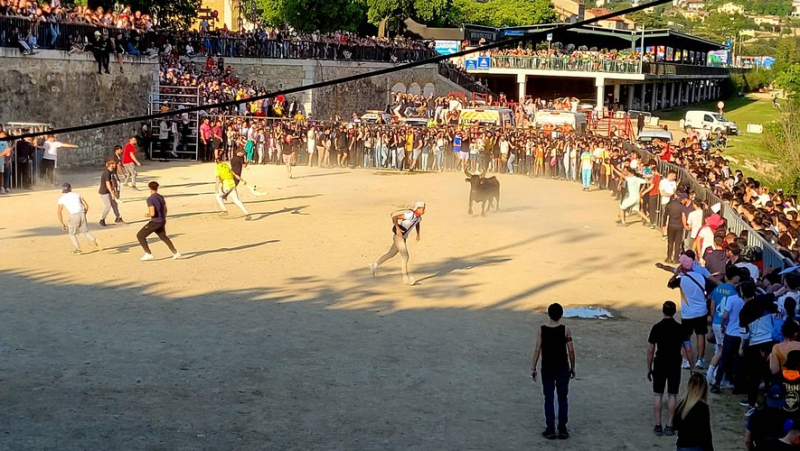 Bullfighting activities at the Alès feria: “Come on, young people!”