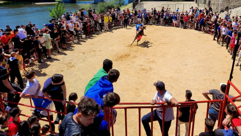 Bullfighting activities at the Alès feria: “Come on, young people!”