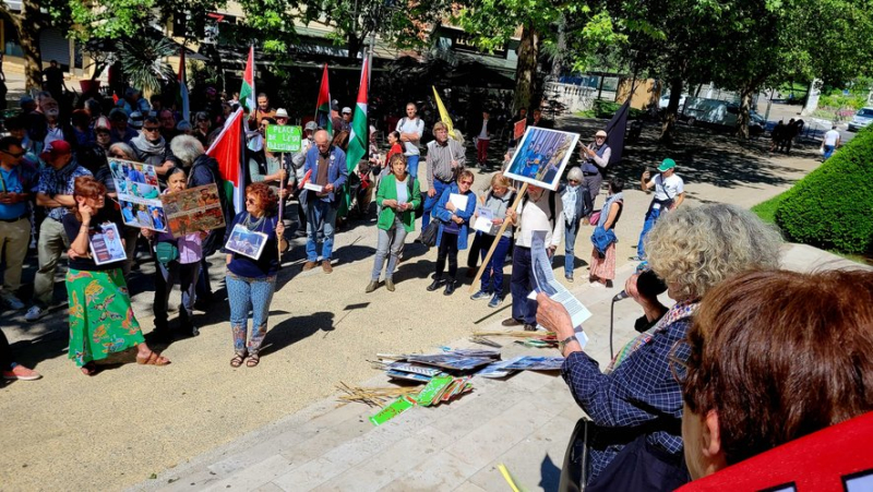 Demonstration in support of Gaza: some 80 people salute a “historic day”